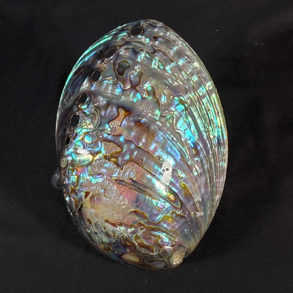 Other - Opalized Abalone Shell